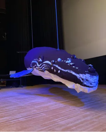 ザトウクジラと海の生き物絵巻づくりの写真