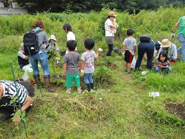 こども農園 活動記録 2019の写真