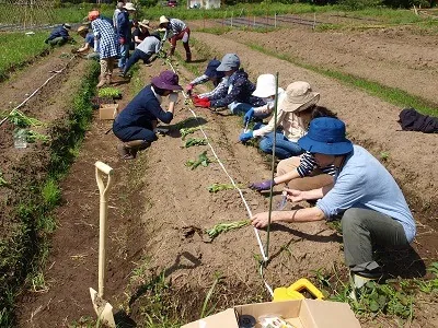 二宮農園 活動記録 2018の写真