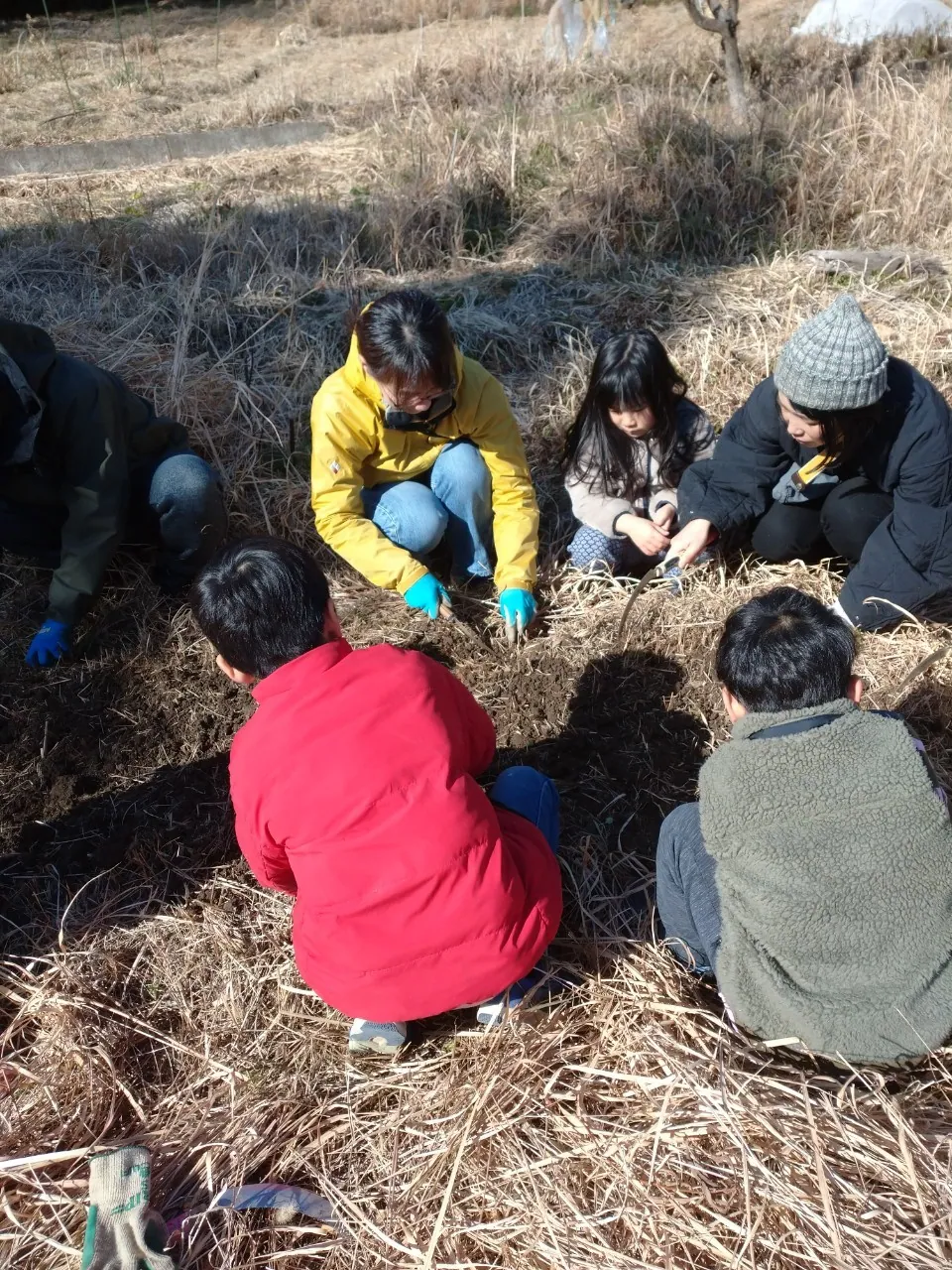 こども農園 活動記録 2025の写真