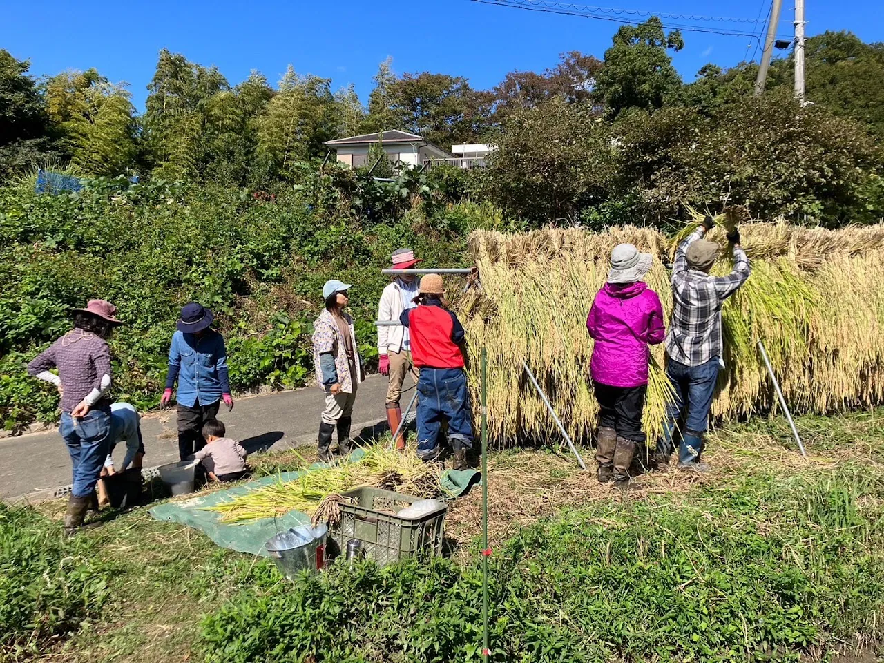 田沢の整備 活動記録 2023の写真