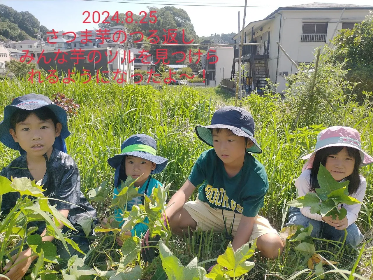 こども農園 活動記録 2024の写真