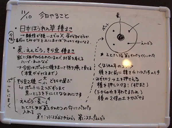 二宮農園 活動記録 2019の写真