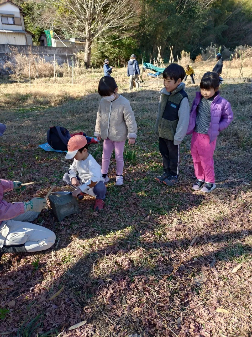 こども農園 活動記録 2025の写真