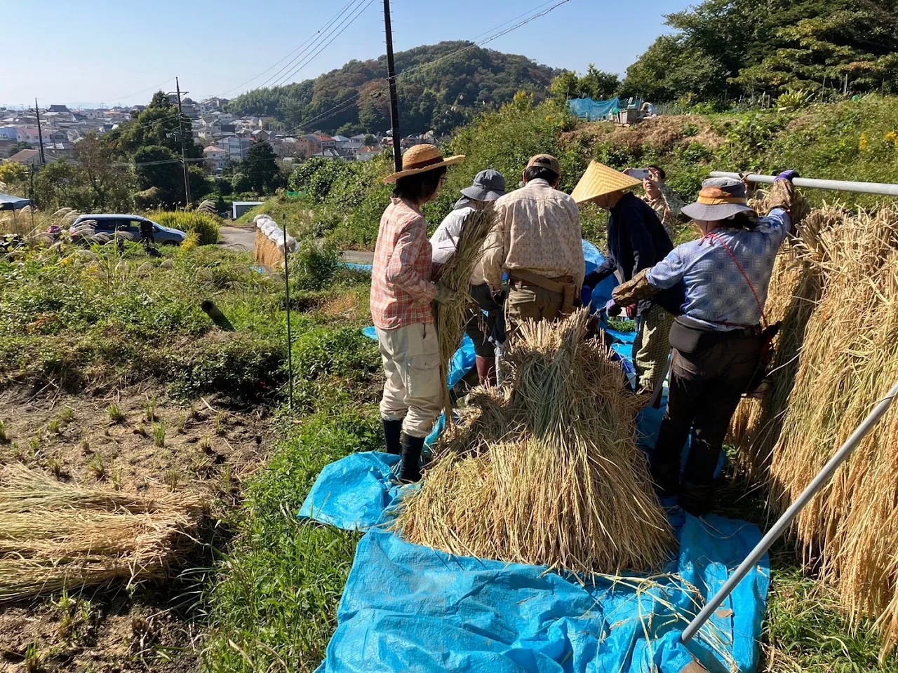 田沢の整備 活動記録 2023の写真