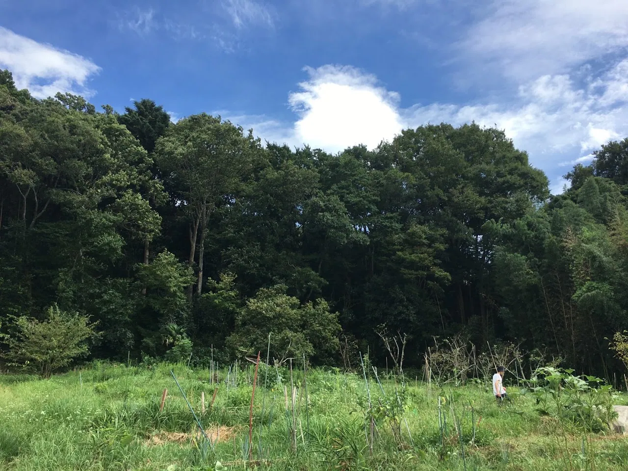 二宮農園 活動記録 2024の写真