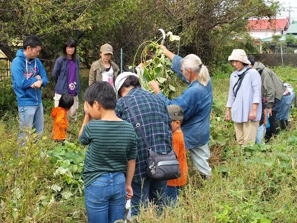 こども農園 活動記録 2018の写真