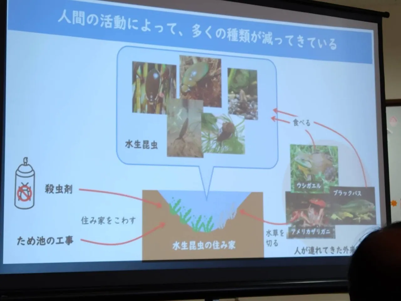 吾妻山棚田の生きもの調査の写真