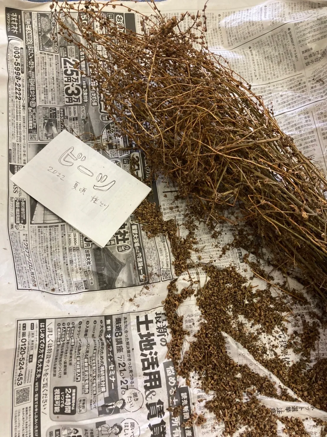 二宮農園 活動記録 2023の写真