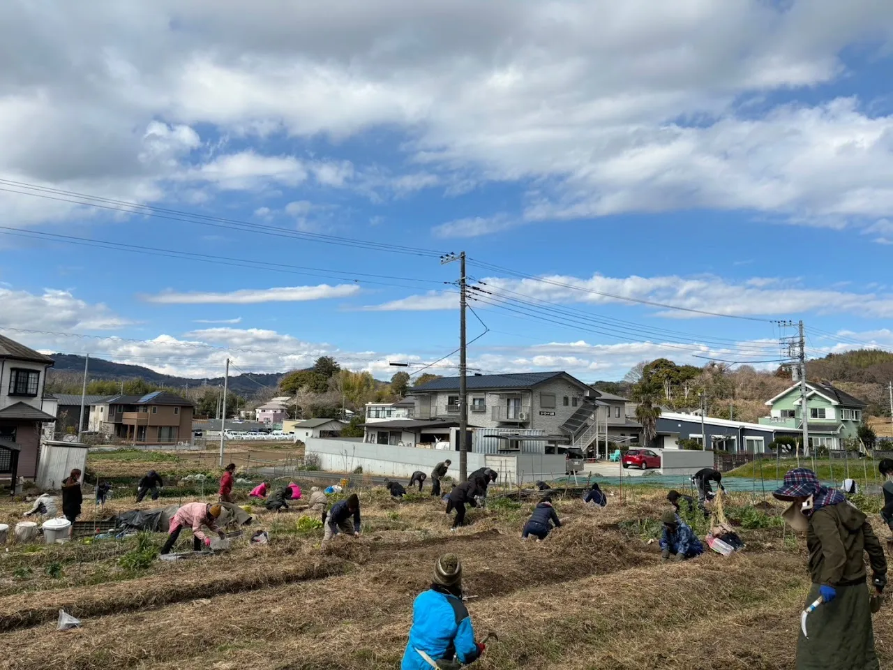 二宮農園 活動記録 2024の写真