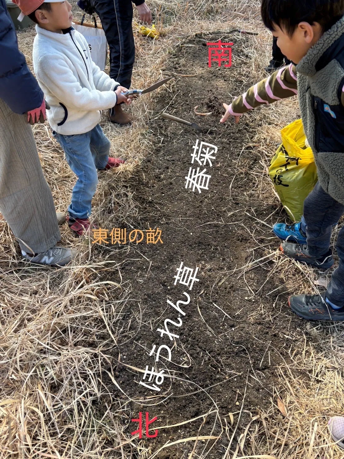 こども農園 活動記録 2025の写真