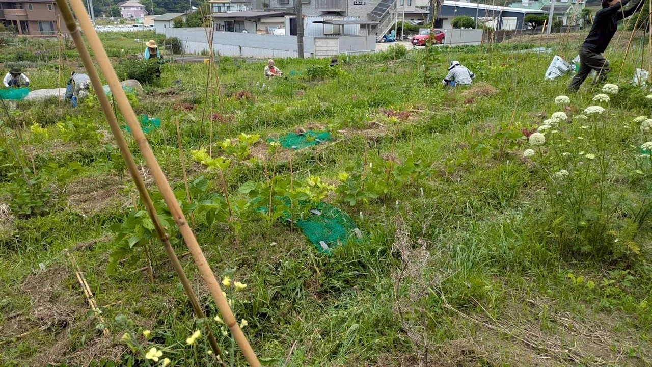 二宮農園 活動記録 2026の写真