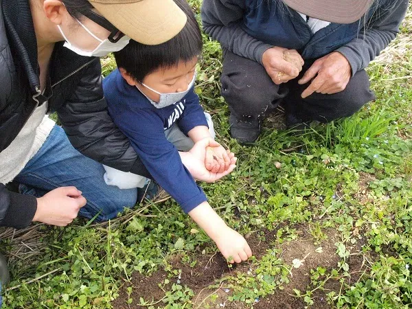 こども農園 活動記録 2019の写真