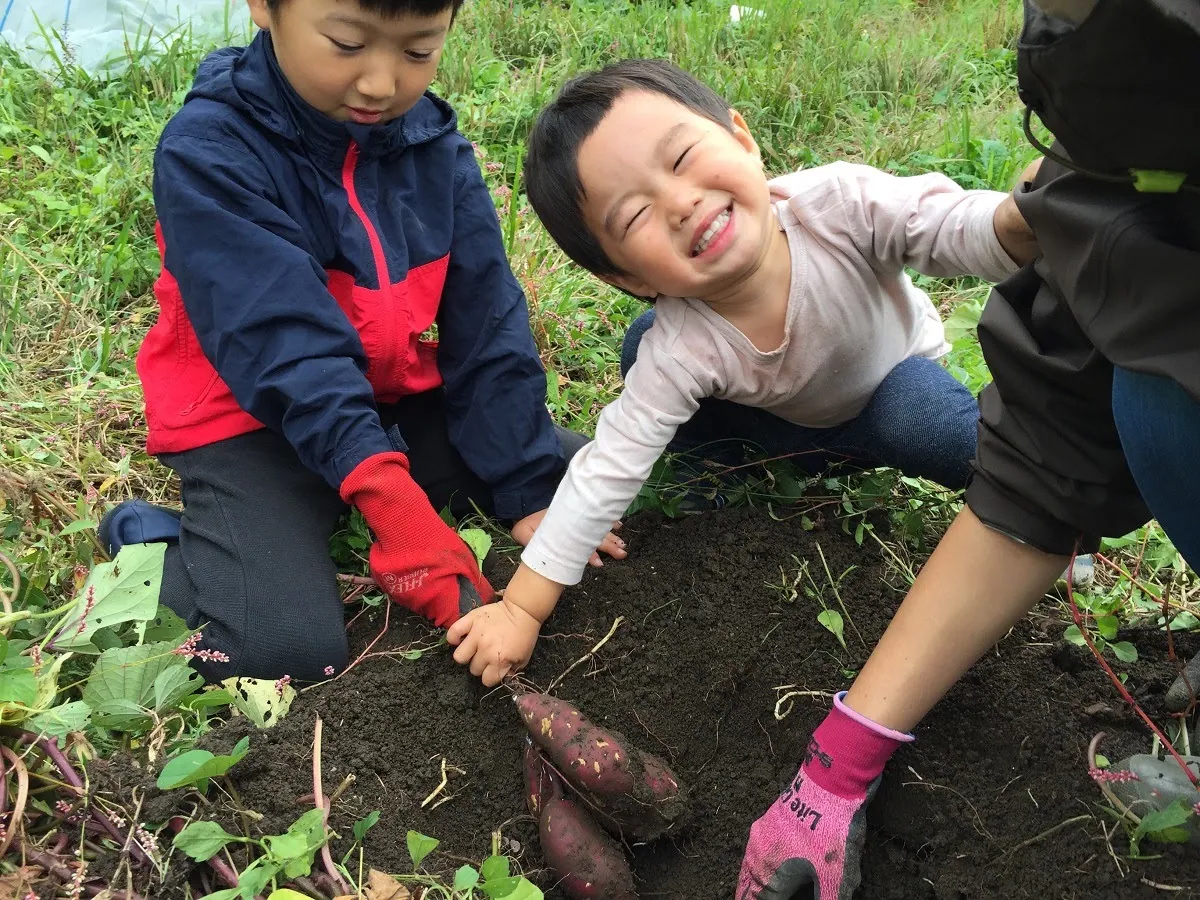 こども農園 活動記録 2021の写真