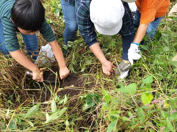 二宮農園 活動記録 2018の写真