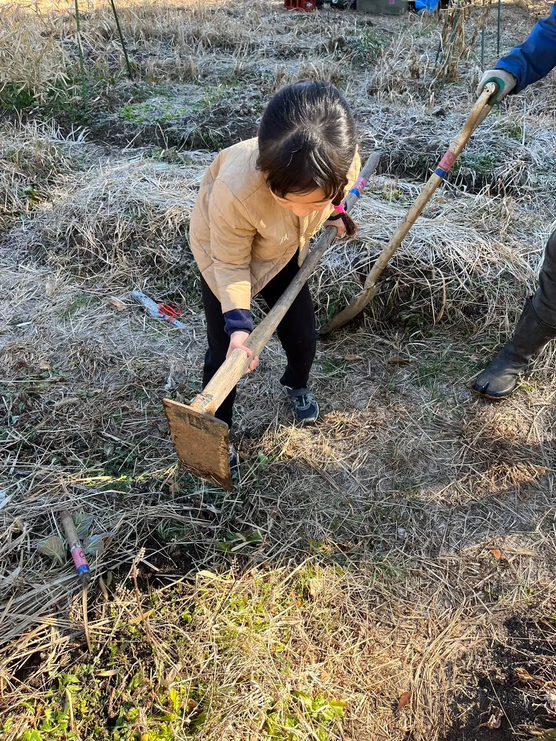 こども農園 活動記録 2023の写真
