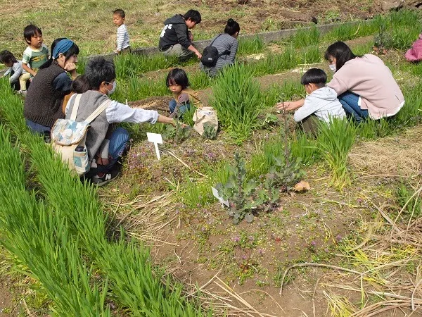 こども農園 活動記録 2020の写真