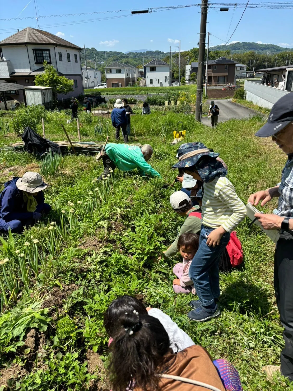 二宮農園 活動記録 2024の写真