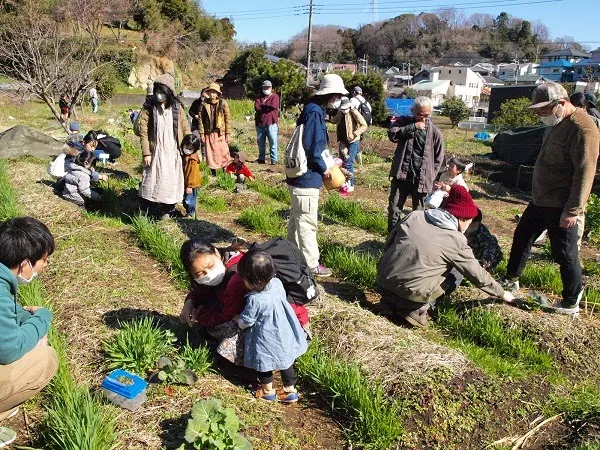 こども農園 活動記録 2020の写真