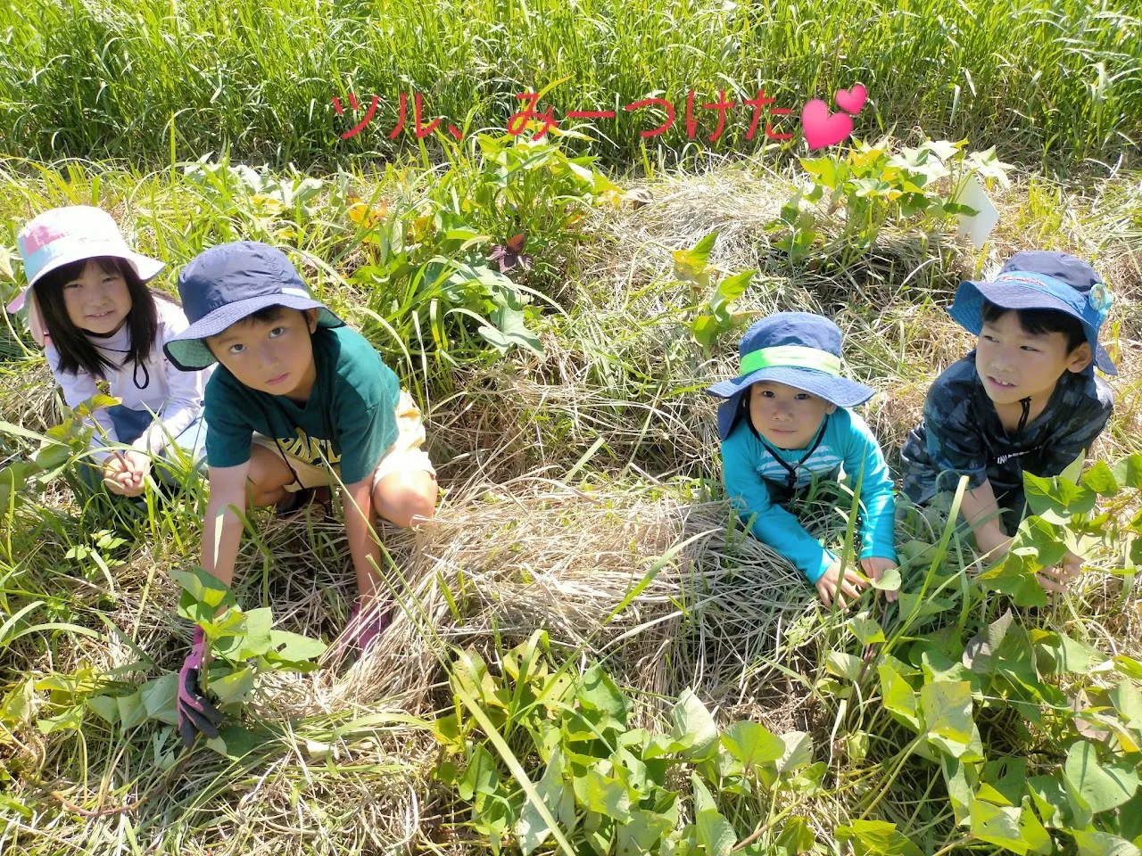 こども農園 活動記録 2024の写真