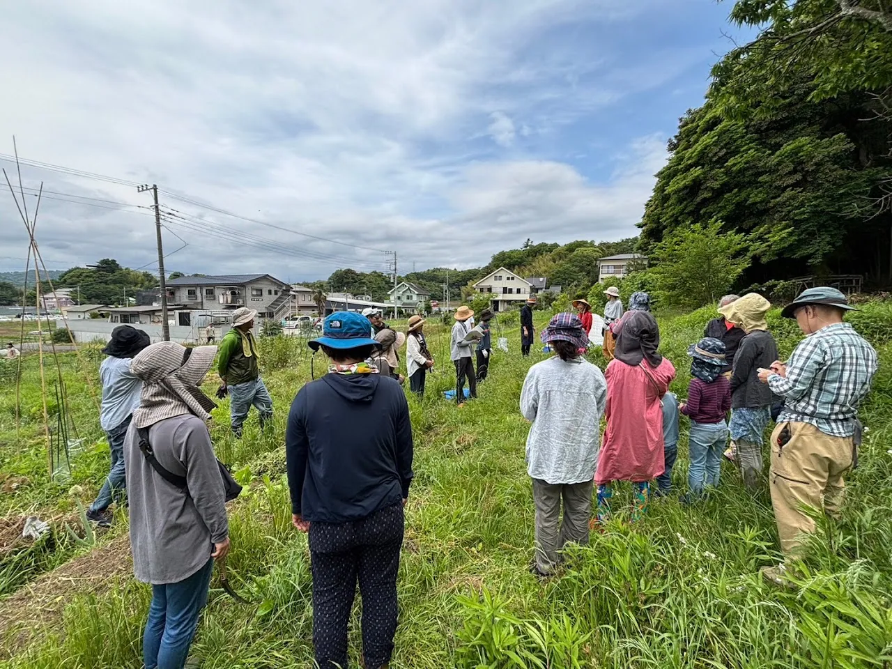 二宮農園 活動記録 2024の写真