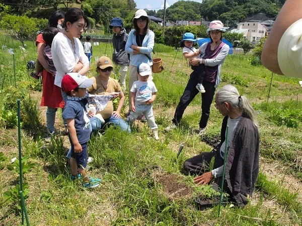 こども農園 活動記録 2019の写真