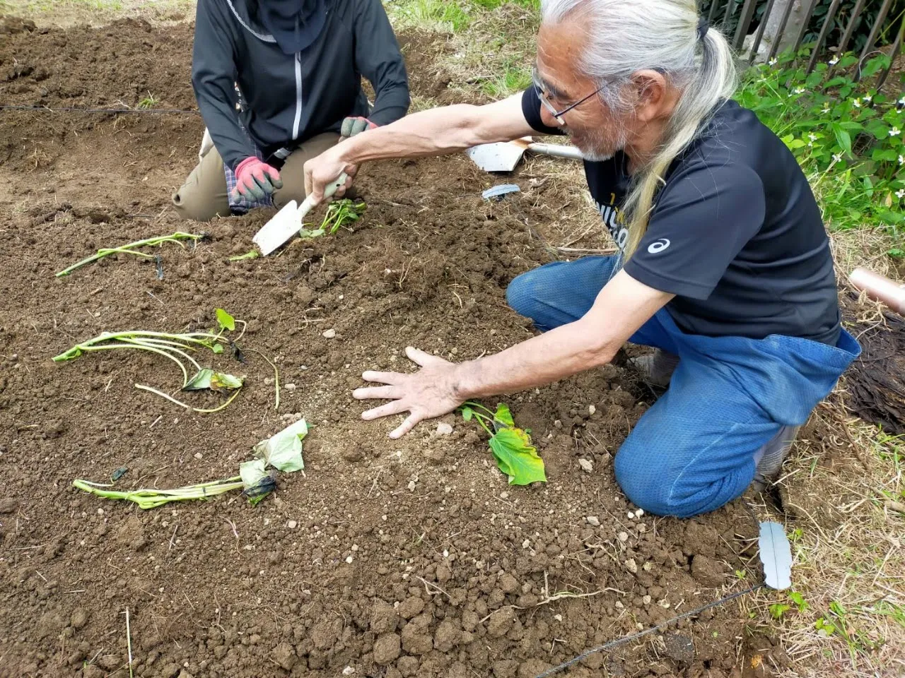 二宮農園 活動記録 2025の写真