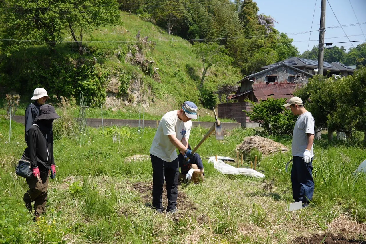 こども農園 活動記録 2025の写真
