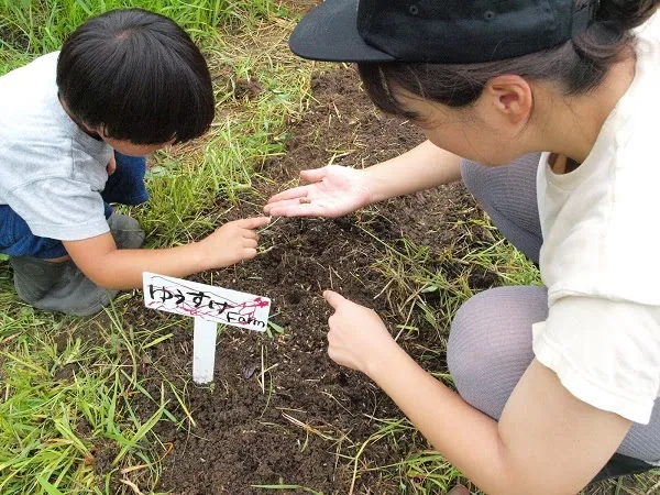 こども農園 活動記録 2019の写真