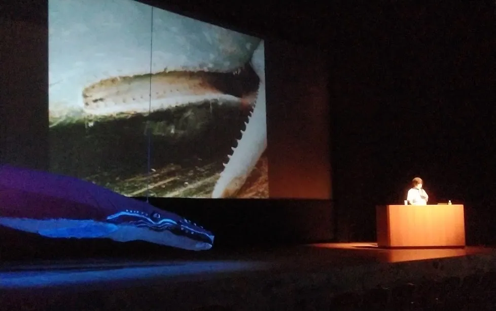 ザトウクジラと海の生き物絵巻づくりの写真