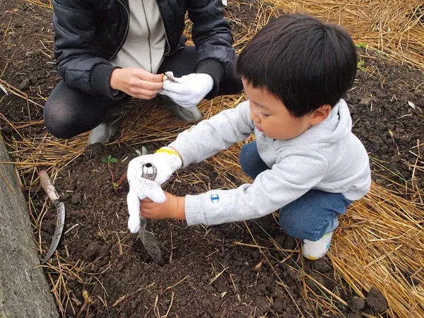 こども農園 活動記録 2018の写真