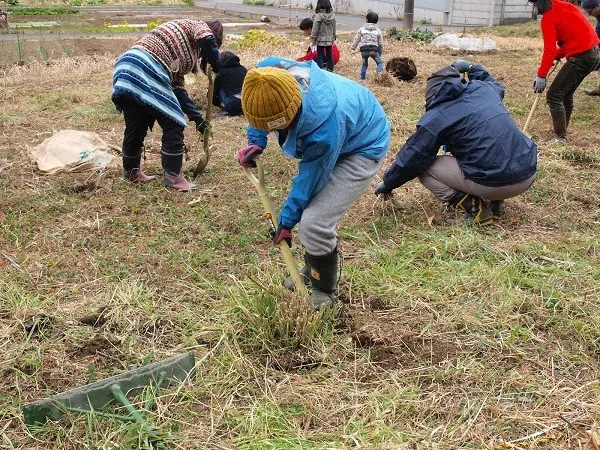二宮農園 活動記録 2018の写真