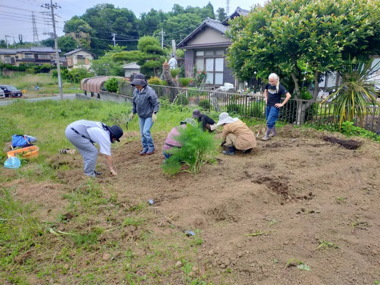 二宮農園 活動記録 2025の写真