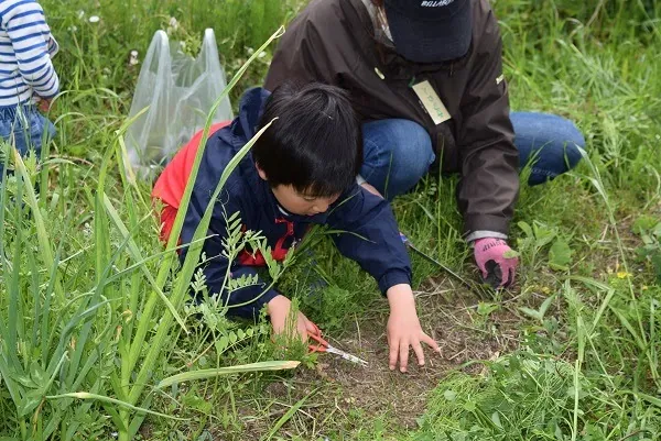 こども農園 活動記録 2021の写真