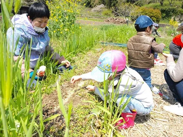こども農園 活動記録 2020の写真