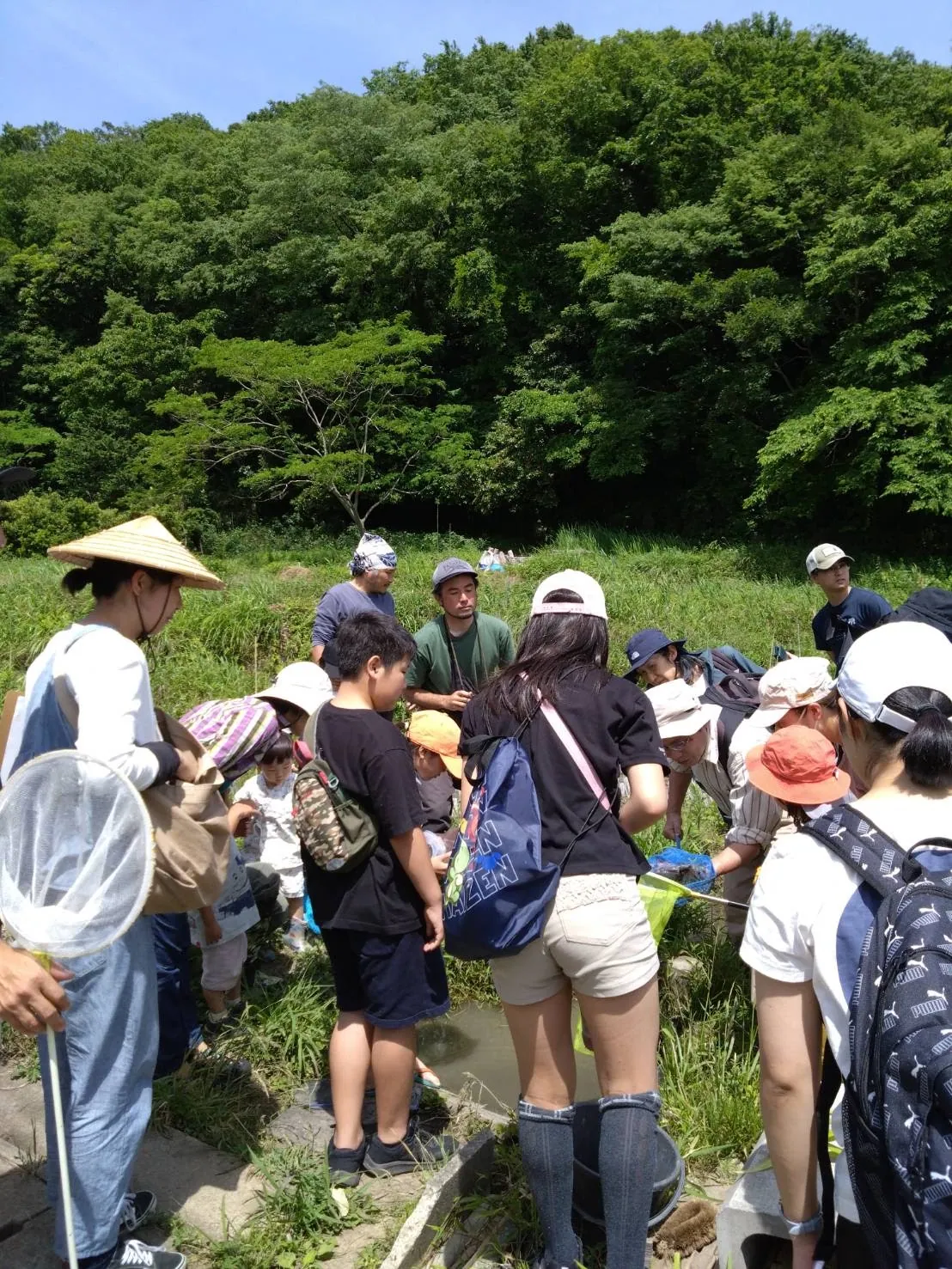吾妻山棚田の生きもの調査の写真