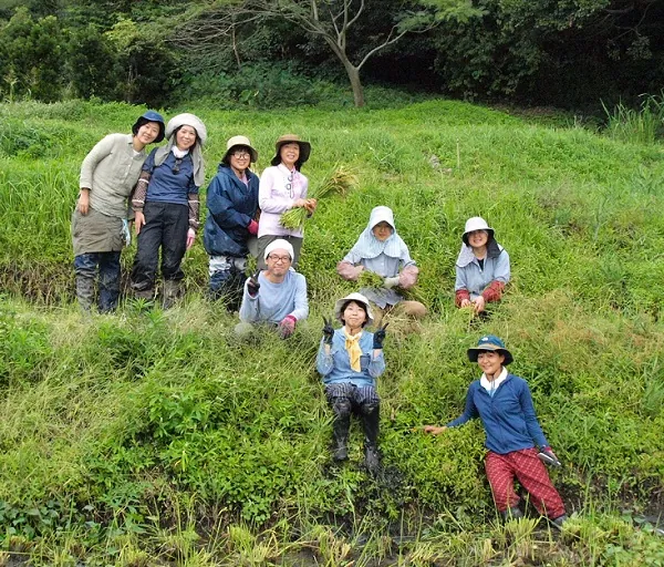 二宮農園 活動記録 2019の写真