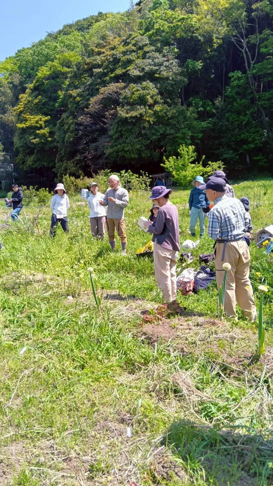二宮農園 活動記録 2025の写真