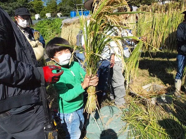 こども農園 活動記録 2020の写真