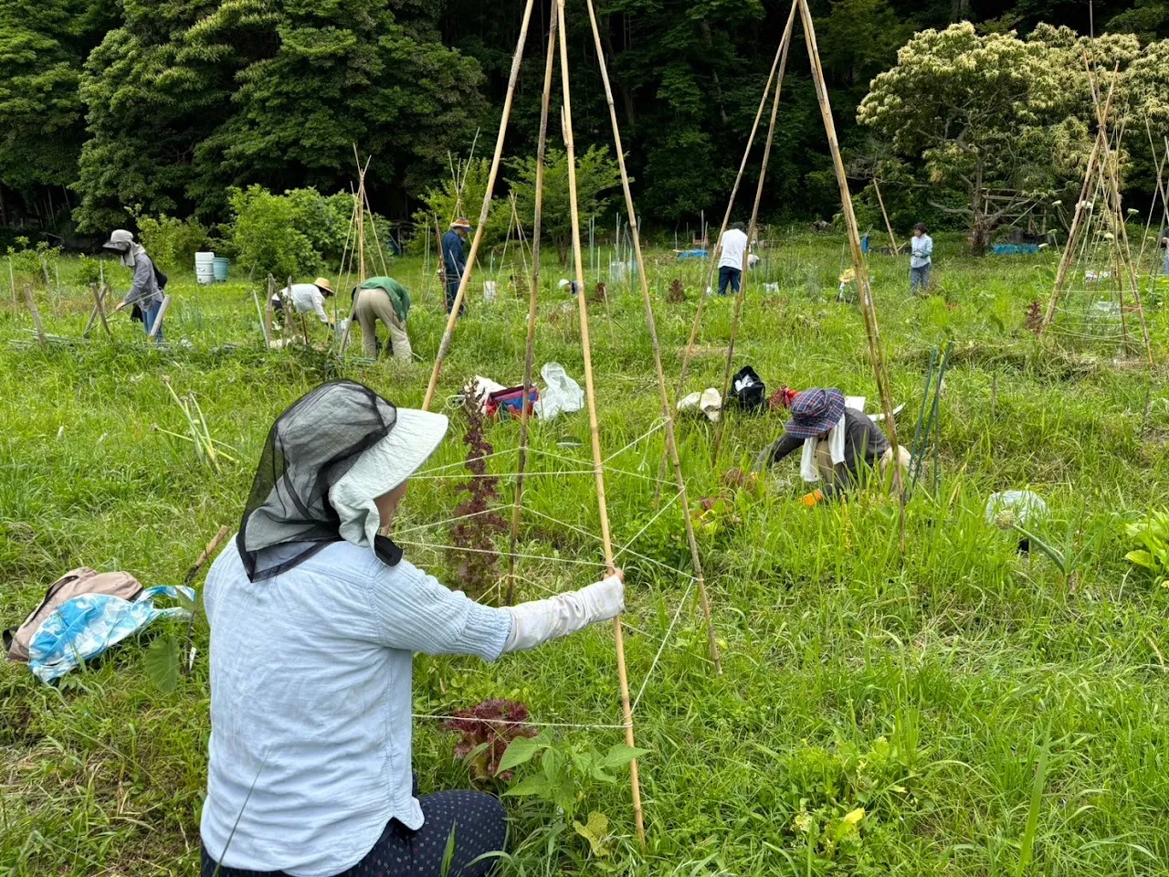 二宮農園 活動記録 2024の写真