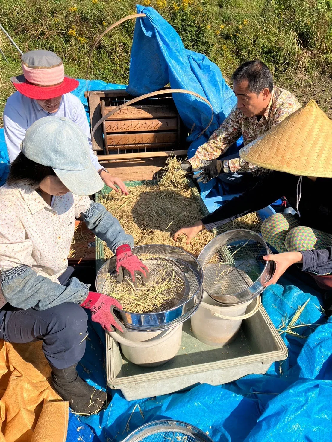 田沢の整備 活動記録 2023の写真