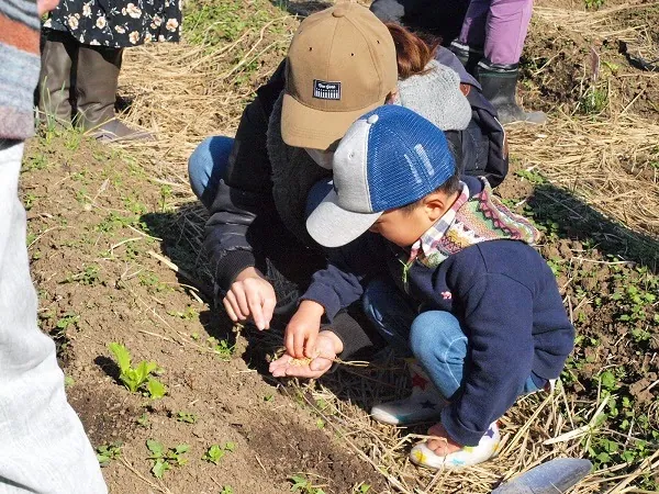 こども農園 活動記録 2018の写真