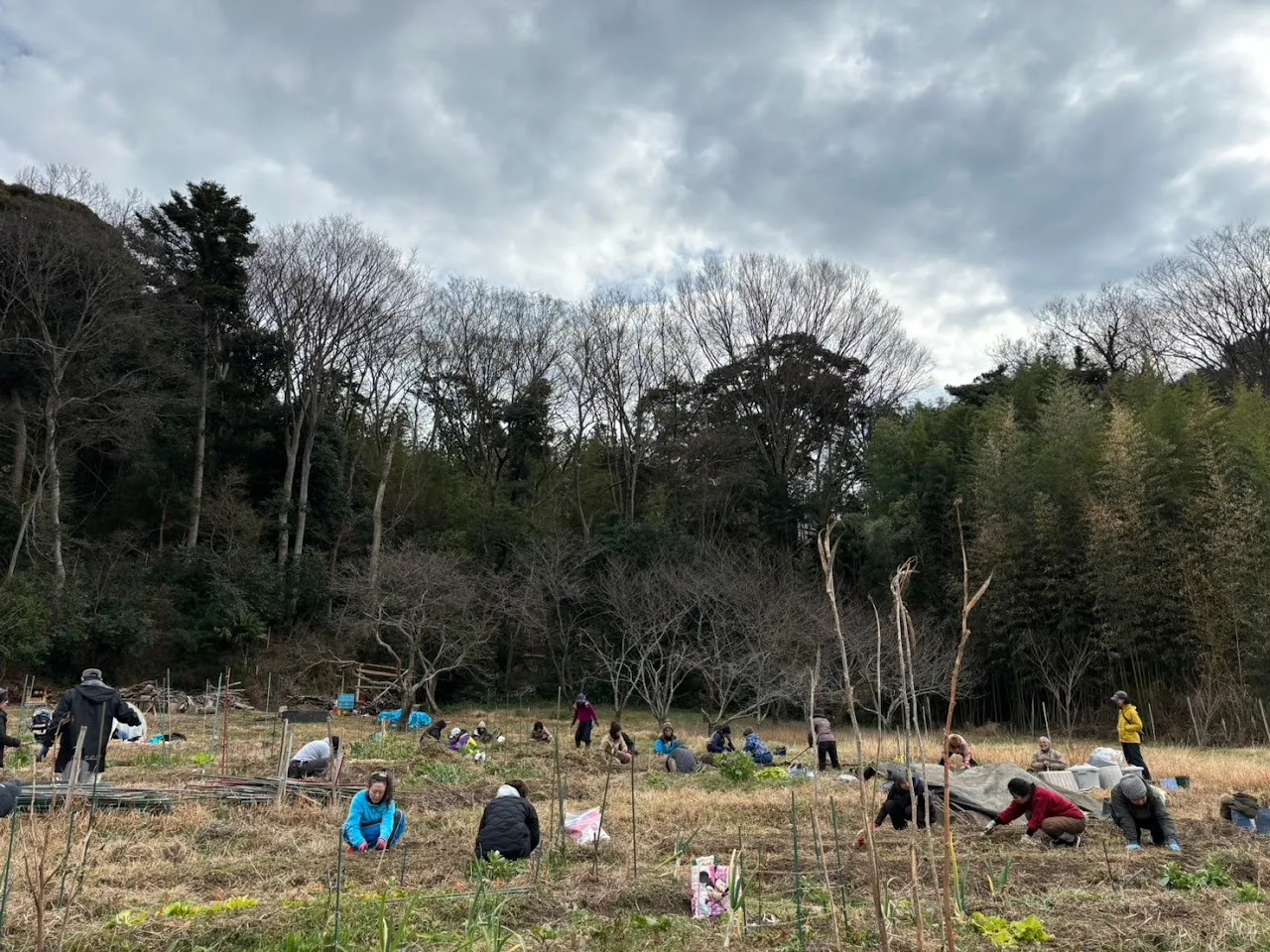 二宮農園 活動記録 2024の写真
