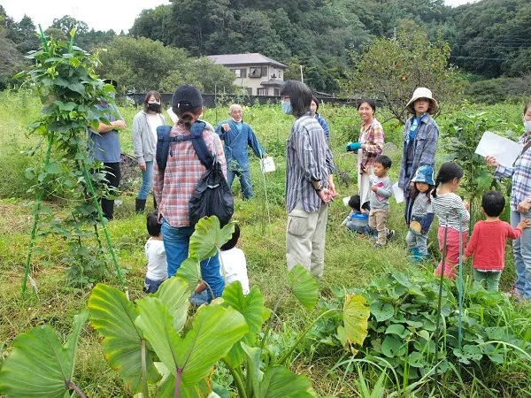 こども農園 活動記録 2020の写真