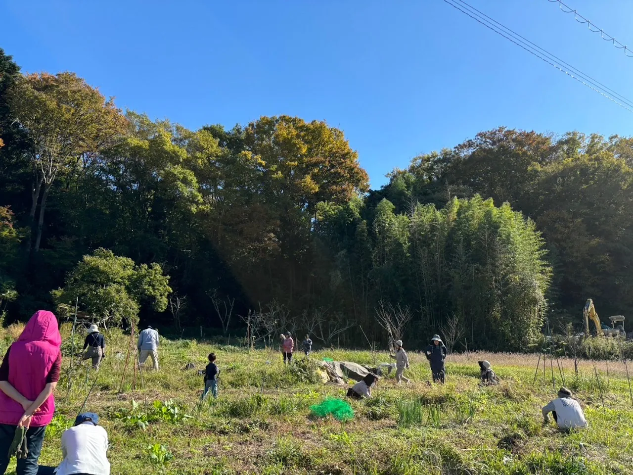 二宮農園 活動記録 2024の写真