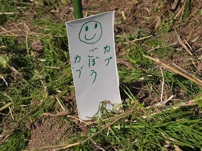 二宮農園 活動記録 2018の写真