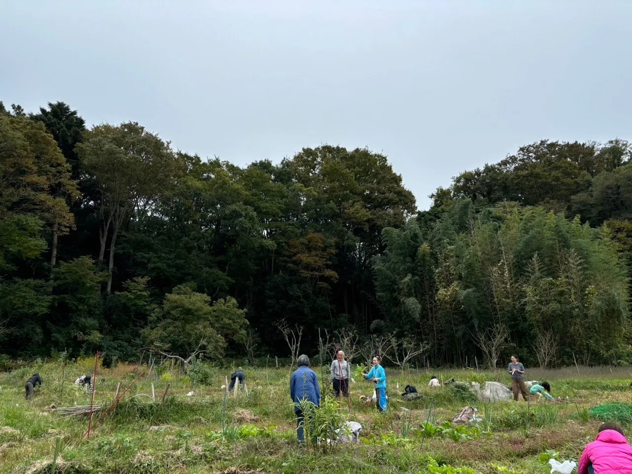 二宮農園 活動記録 2024の写真