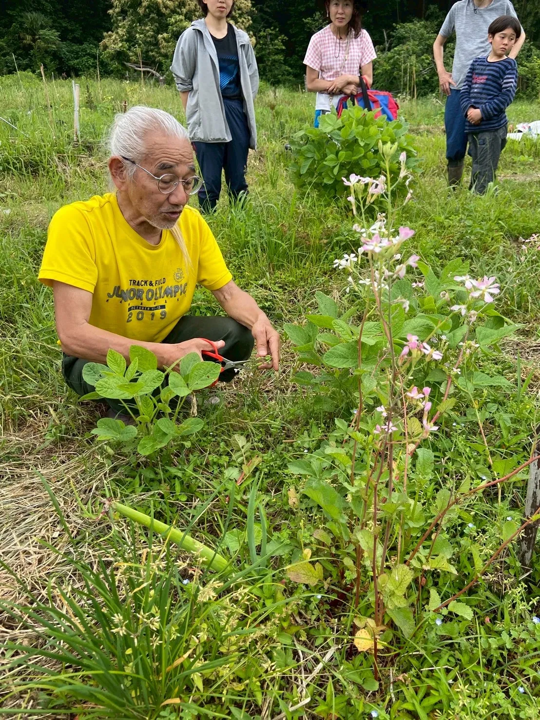 二宮農園 活動記録 2025の写真
