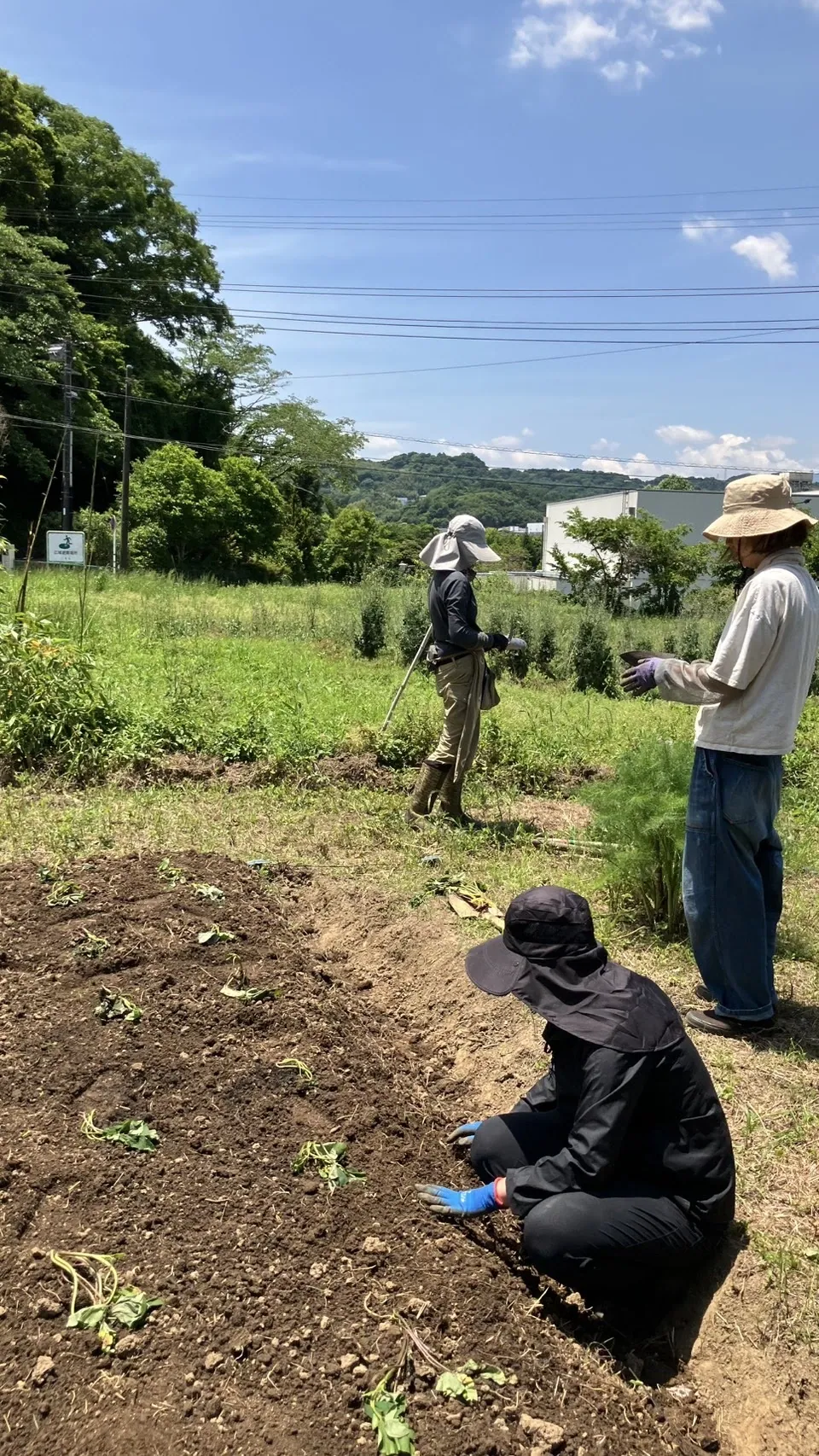 二宮農園 活動記録 2025の写真