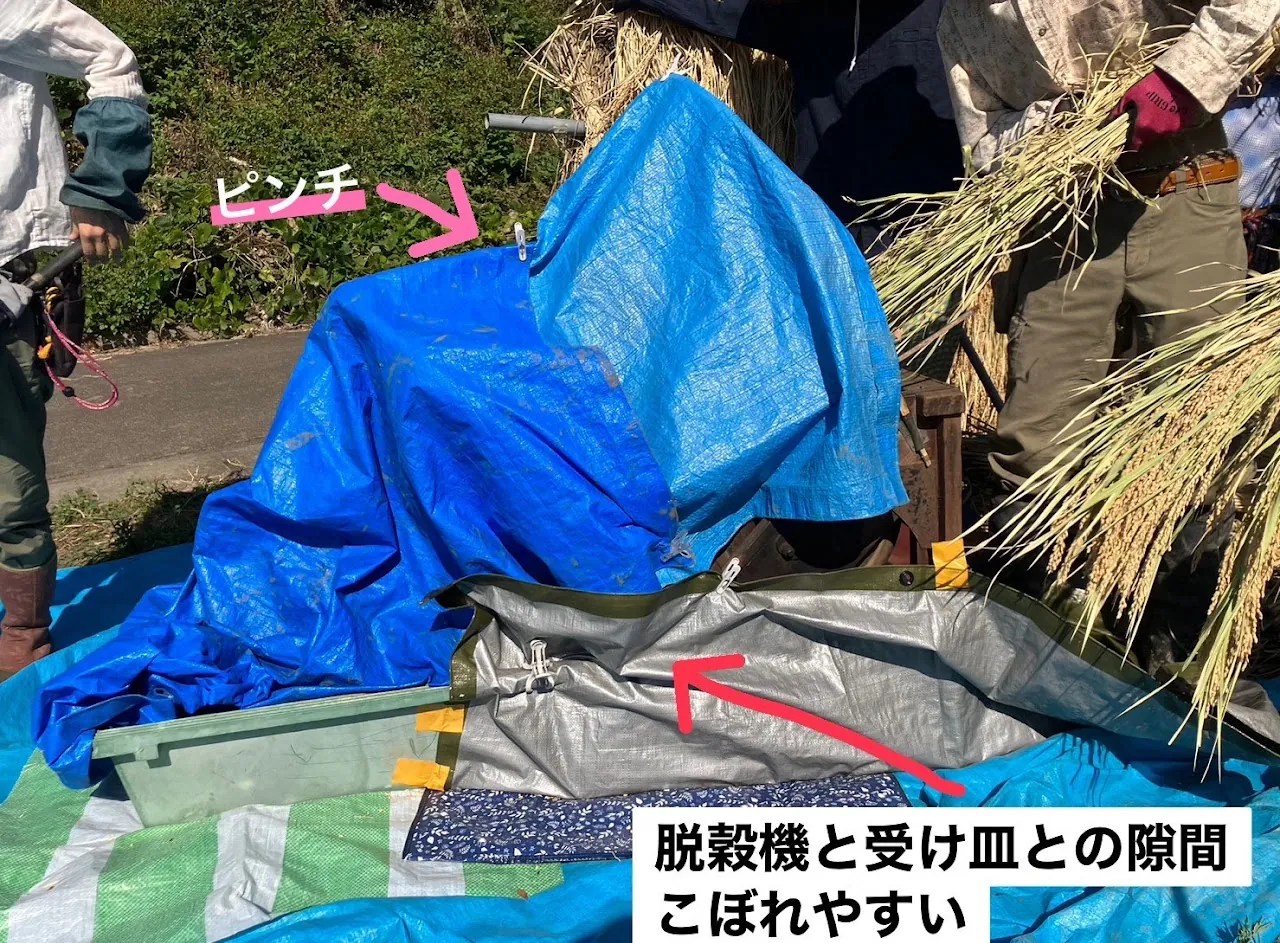 田沢の整備 活動記録 2023の写真